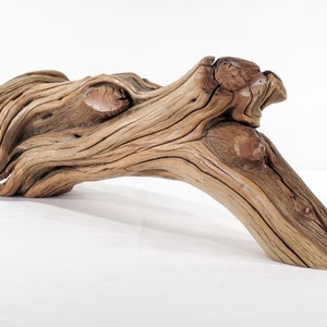 Manzanita Driftwood (23“), Unique, hefty, arched branch for beach house gift nautical or aquascape decor