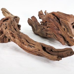 Manzanita Small Log & Root 2 pc set, Great driftwood for aquascaping your tank or terrarium decor image 1