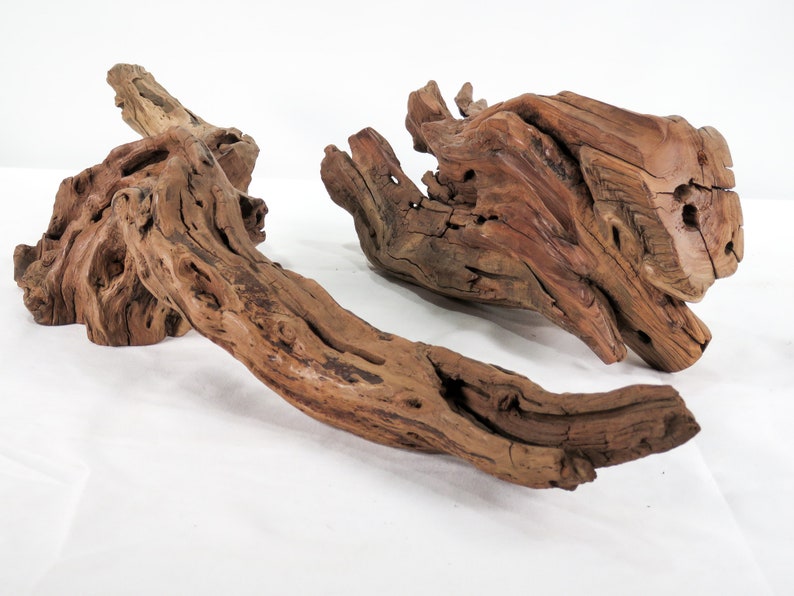 Manzanita Small Log & Root 2 pc set, Great driftwood for aquascaping your tank or terrarium decor image 1