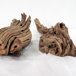 Manzanita Small Log & Root 2 pc set, Great driftwood for aquascaping your tank or terrarium decor image 8