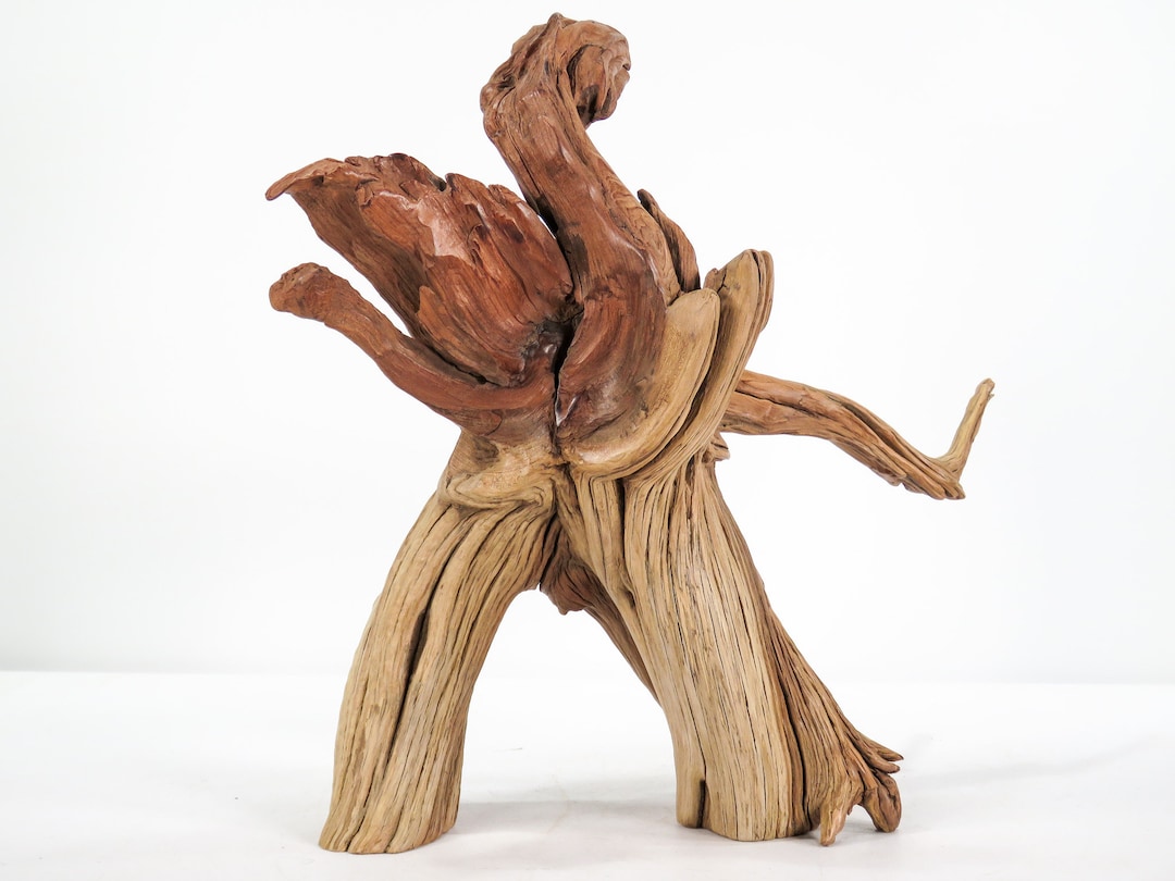 Manzanita Stump/root 12 Great Driftwood for Aquascaping Etsy