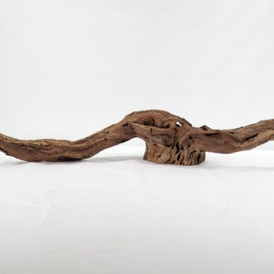 Manzanita Small Log & Root 2 pc set, Great driftwood for aquascaping your tank or terrarium decor image 2