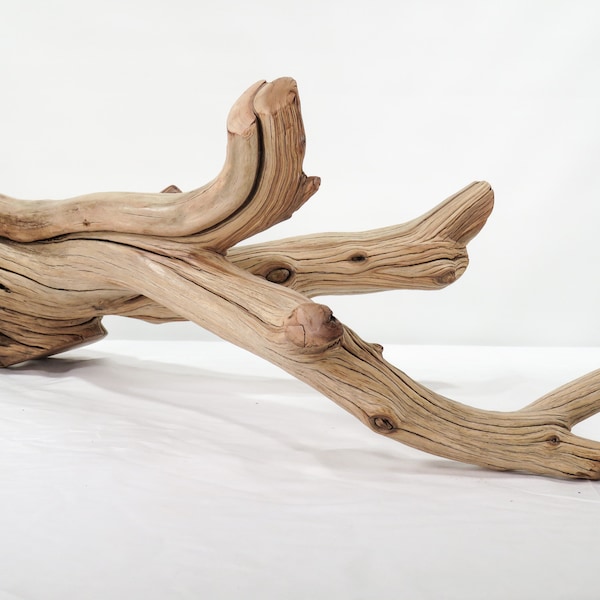 Aquarium Driftwood, (21“), Manzanita branch for aquascaping fish tank decor or terrarium decor