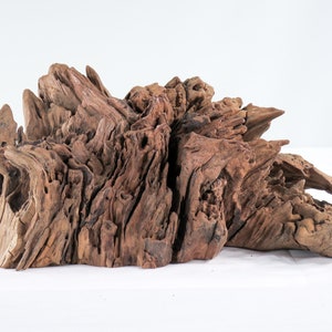 Manzanita Stump/Root (14“), Great driftwood for aquascaping your tank or terrarium decor