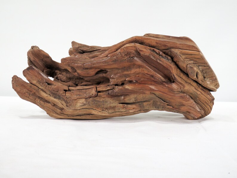 Manzanita Small Log & Root 2 pc set, Great driftwood for aquascaping your tank or terrarium decor image 3