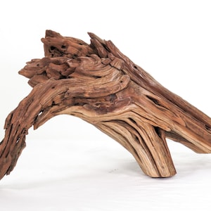May include: A piece of weathered driftwood with a rich reddish-brown hue, featuring a complex, gnarled texture with deep grooves, ridges, and organic, twisted shapes that taper into a pointed end and a curved, branch-like extension.