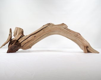 Grande branche en bois flotté de Manzanita (33"), branche arquée unique pour un cadeau de maison de plage, décoration nautique ou aquatique