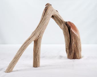 Manzanita Driftwood (19“), Unique arched branch for beach house gift nautical or aquascape decor