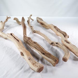 Manzanita Driftwood (4 pc set), These long smooth sticks perfect for reptile enclosures, terrariums, aquarium or craft projects