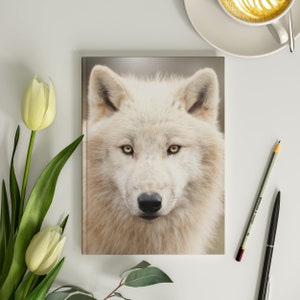 May include: A close-up portrait of a white wolf with piercing yellow eyes. The wolf's fur is soft and fluffy, and its expression is alert and focused.