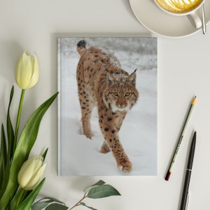 Bobcat Journal 6x8 Red Lynx Bobcat Journal for Writing Iberian Lynx Journal Big Wildcat Notebook Bobcat in Snow Notebook 150 Lined Pages