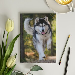 Siberian Husky Hardcover Journal 6x8 Siberian Husky Notebook Husky Dog Journal Husky Dog Notebook Dog Mom Journal Dog Dad Notebook 150 Pages
