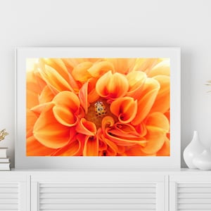Orange Dahlia Flower with Ladybug Photo, Dahlia Flower Wall Art, Flower & Ladybug Art Print, Orange Wall Decor, Digital Printable Wall Art