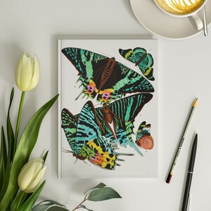 Butterflies Hardcover Journal 6x8 Vintage Butterfly Journal E.A. Seguy Art Deco Print Butterflies Art Nouveau Butterfly Notebook 150 Pages
