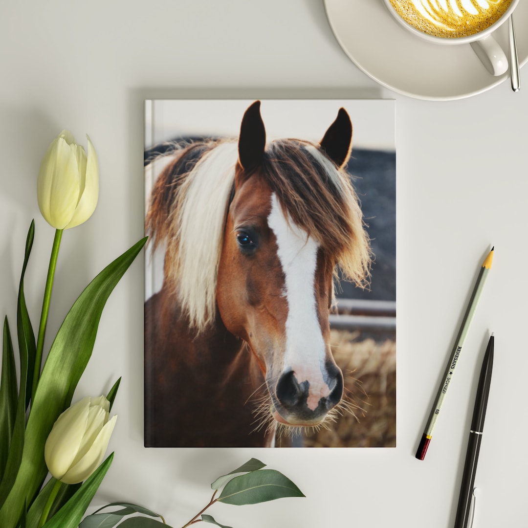 American Paint Horse Journal 6x8 Beautiful Quarter Horse Journal