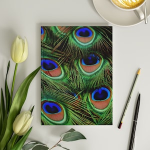 Pretty Peacock Feathers 6x8 Hardcover Journal Sacred Royal Bird Feathers Journal for Women Gift Peacock Feathers Notebook 150 Lined Pages