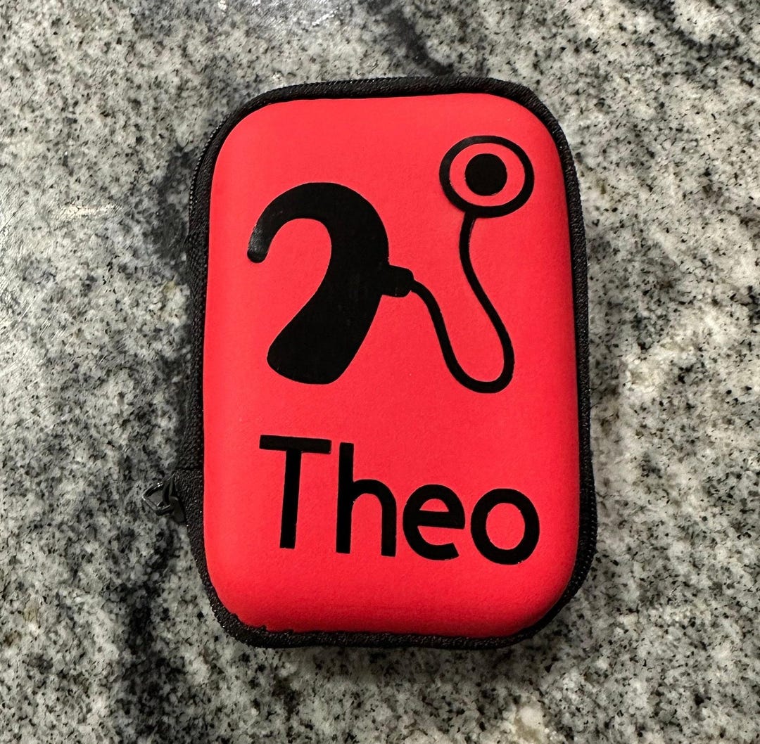 Personalised Hearing Aid Case, Personalised Cochlear Implant Case ...