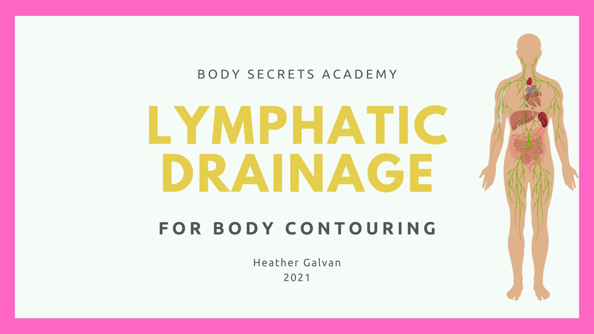 Lymphatic Drainage Maps for Body Contouring | Etsy