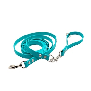May include: A bright turquoise dog leash made of a smooth, flexible material. The leash features two silver-toned metal swivel snap hooks at each end, secured with silver rivets, and includes a handle loop with a metal D-ring for attachment.