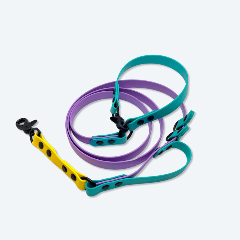 6FT Dual Snap Traffic Handle Biothane® Dog Leash Purple/yellow/teal Pre