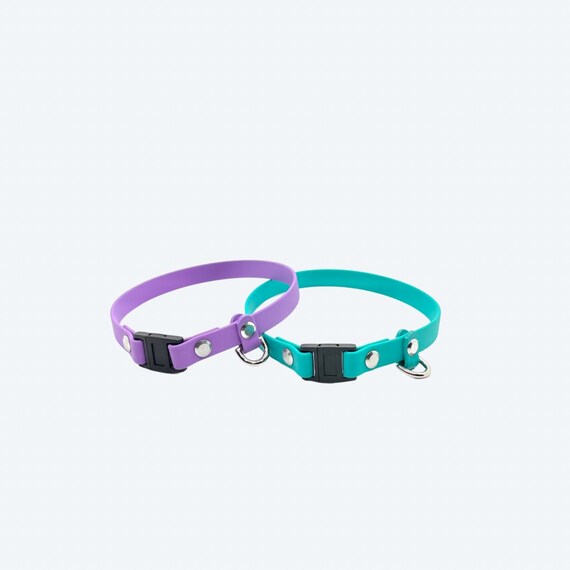 Breakaway hot sale dog collar