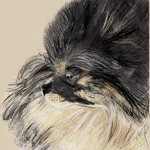 PERSONALISED Pet portrait - print or card