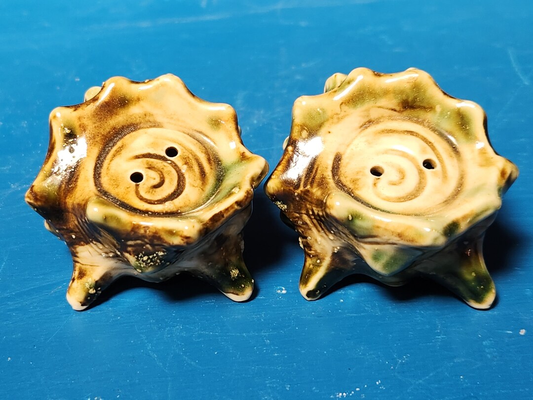 Conch Salt and Pepper Shakers Etsy