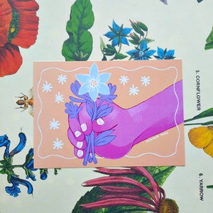 Flor para você | Cartão postal