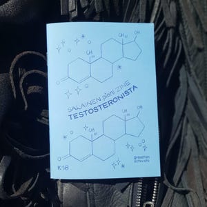 Salainen pieni zine testosteronista | Zine