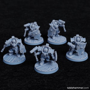 May include: Five gray plastic miniature figures of warriors with shields and weapons, standing on round bases with a textured design.