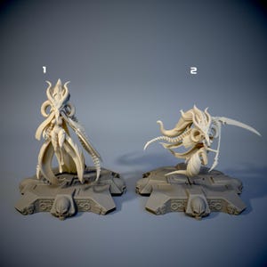 May include: Two detailed, off-white miniature figurines of fantasy characters. One figure is standing, the other is in a dynamic pose with a curved blade. Both are mounted on gray, textured bases with skull details, suitable for tabletop gaming.