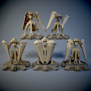 Può includere: Cinque miniature di una guerriera femminile con ali e una spada, ciascuna in piedi su una base circolare con teschi. Le miniature sono realizzate in plastica marrone chiaro e sono in pose diverse.