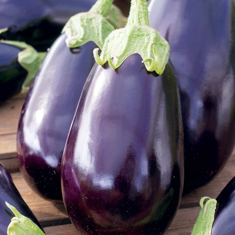 Aubergine Black Beauty X50 Seeds Etsy