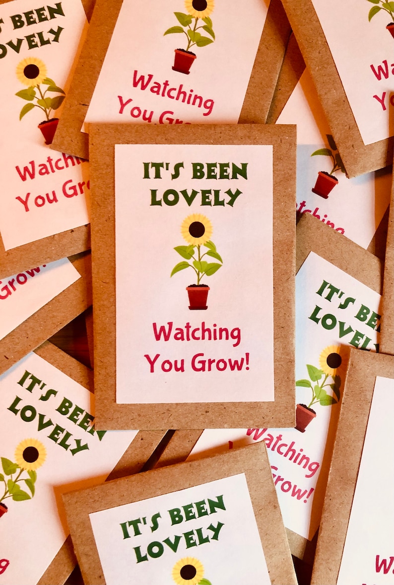 BULK 10 PACKS Sunflower Seeds Kit for Kids Its Been Etsy