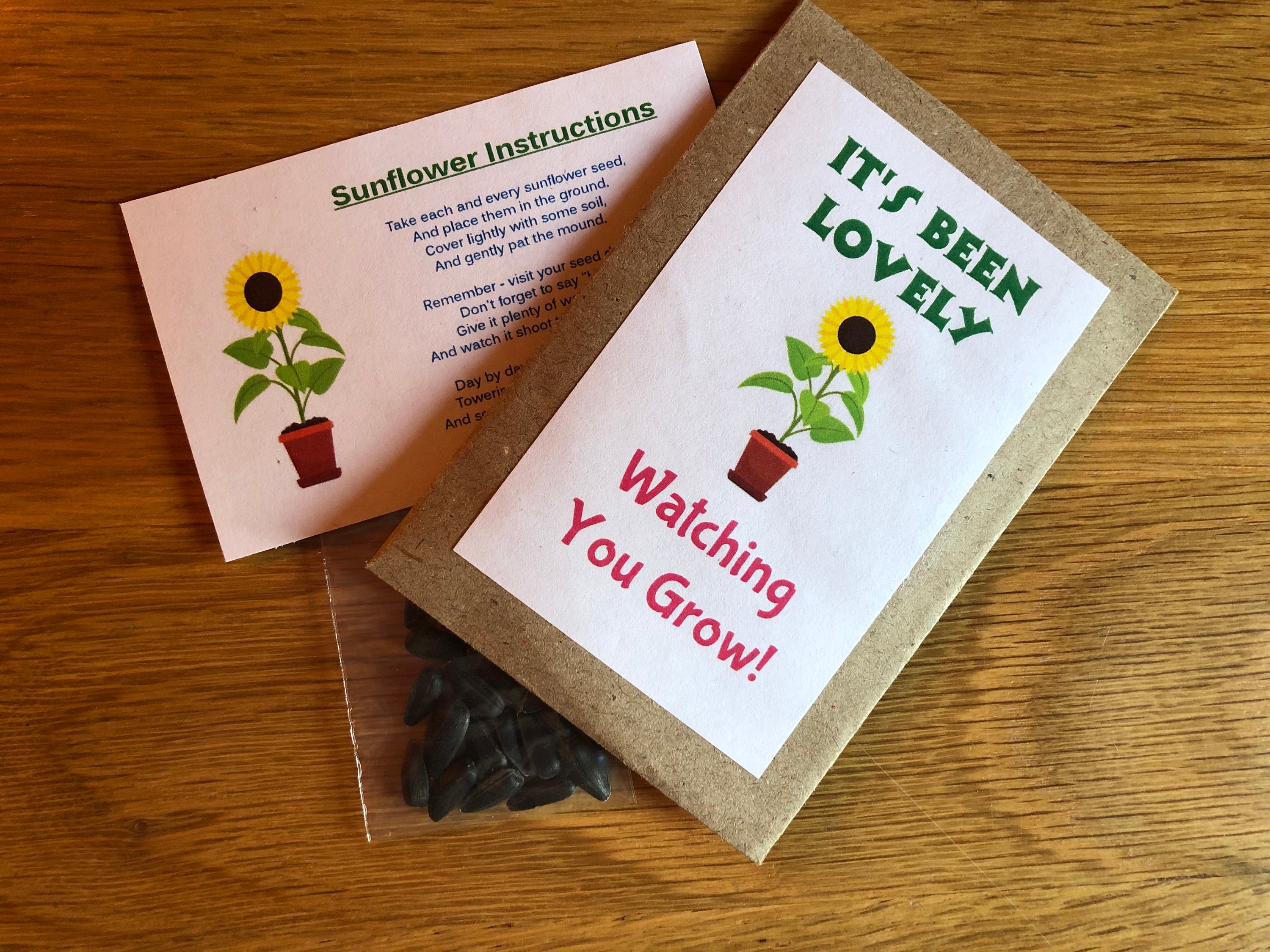 BULK 10 PACKS Sunflower Seeds Kit for Kids Its Been Etsy