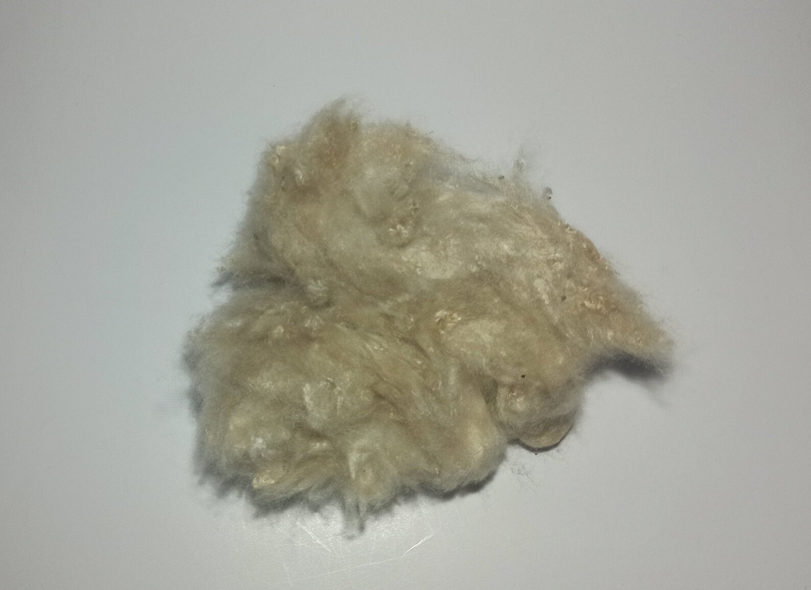 Natural ORGANIC Kapok fiber Tropical Kapok Natural Fiber Fill Etsy