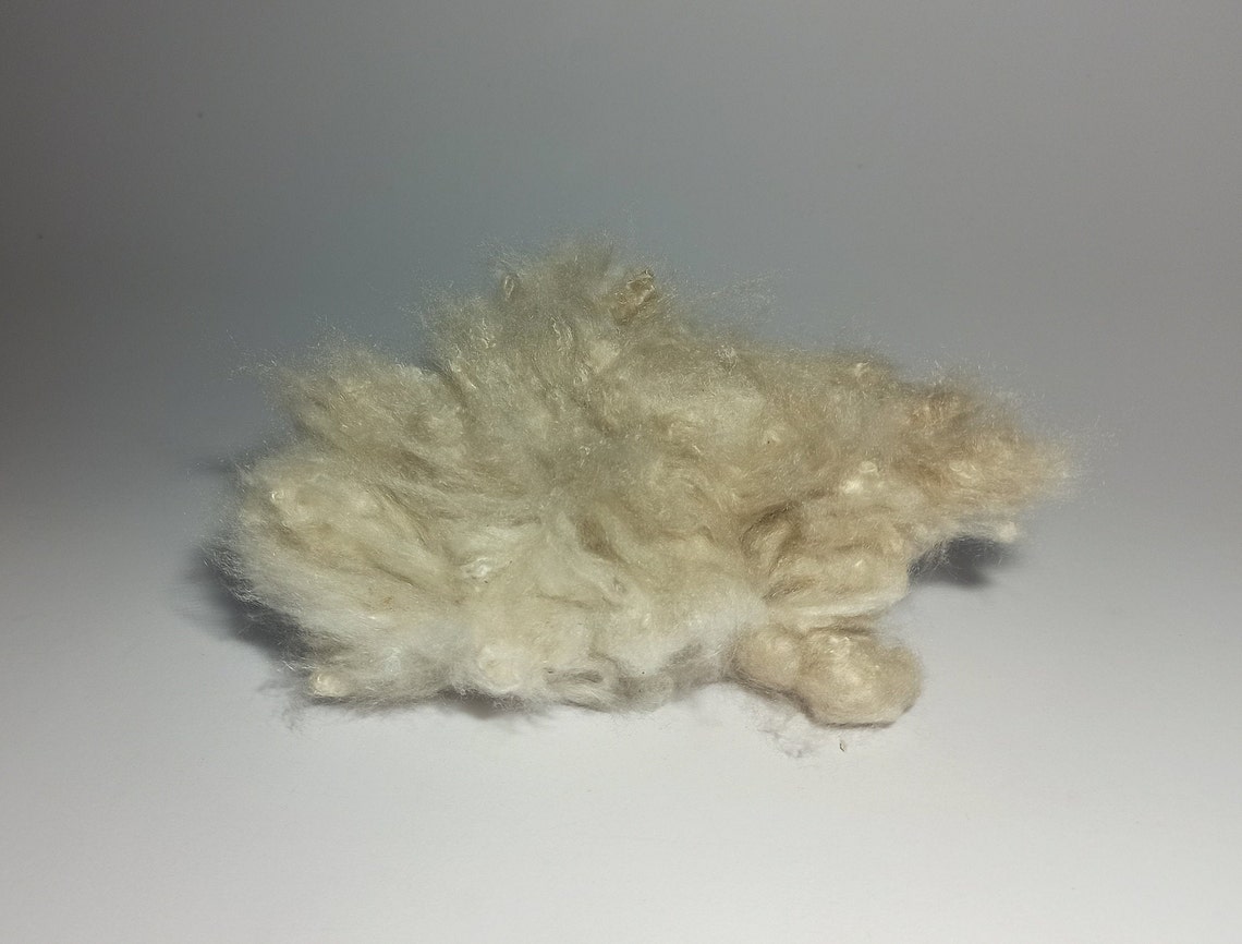 Natural ORGANIC Kapok fiber Tropical Kapok Natural Fiber Fill Etsy