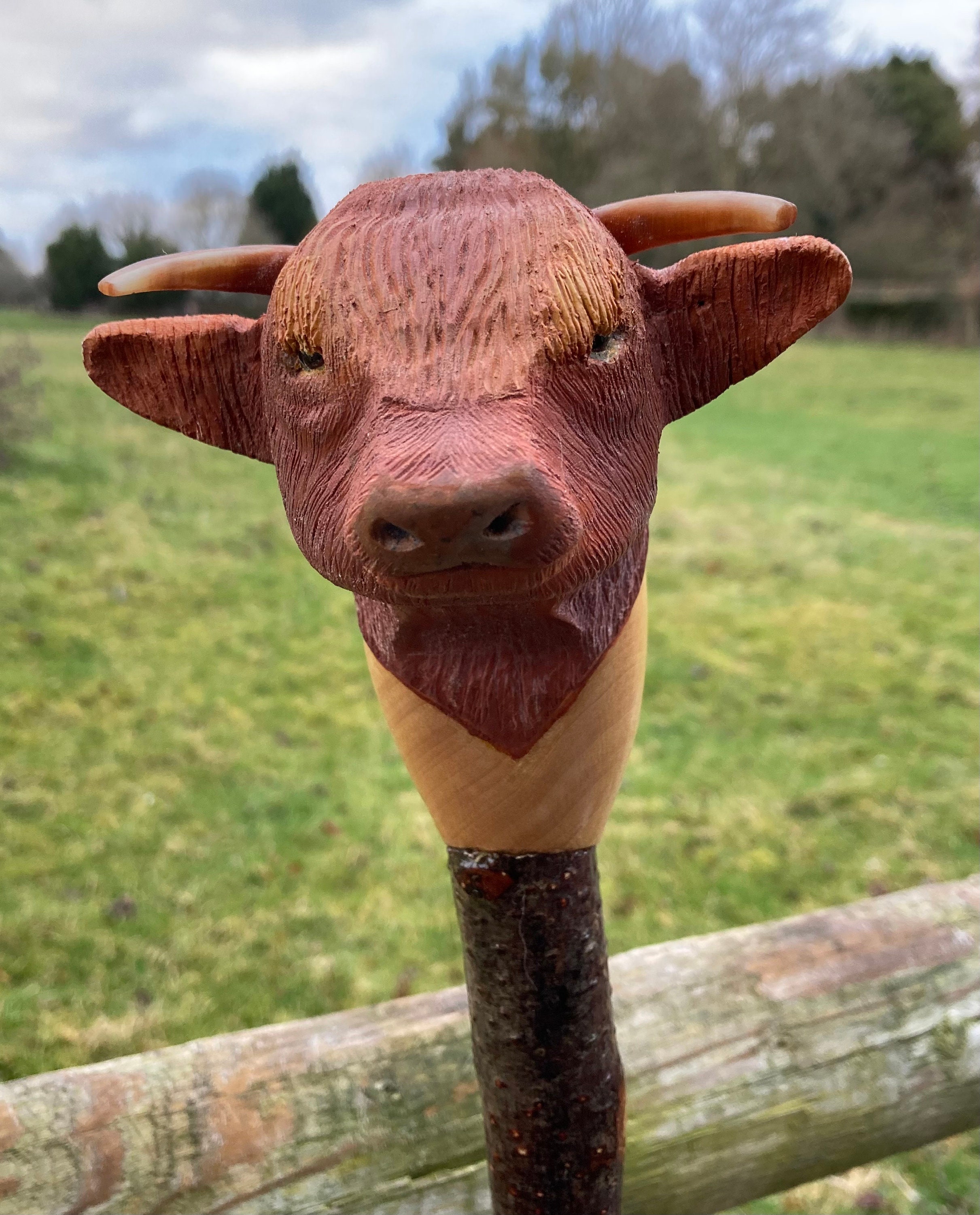 Hand Carved in Lime Highland Cow country walking stick on Hazel Shank