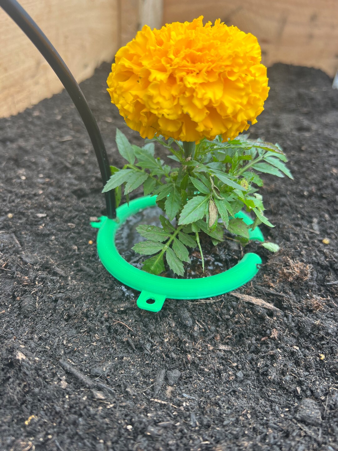 Drip Irrigation Ring Etsy