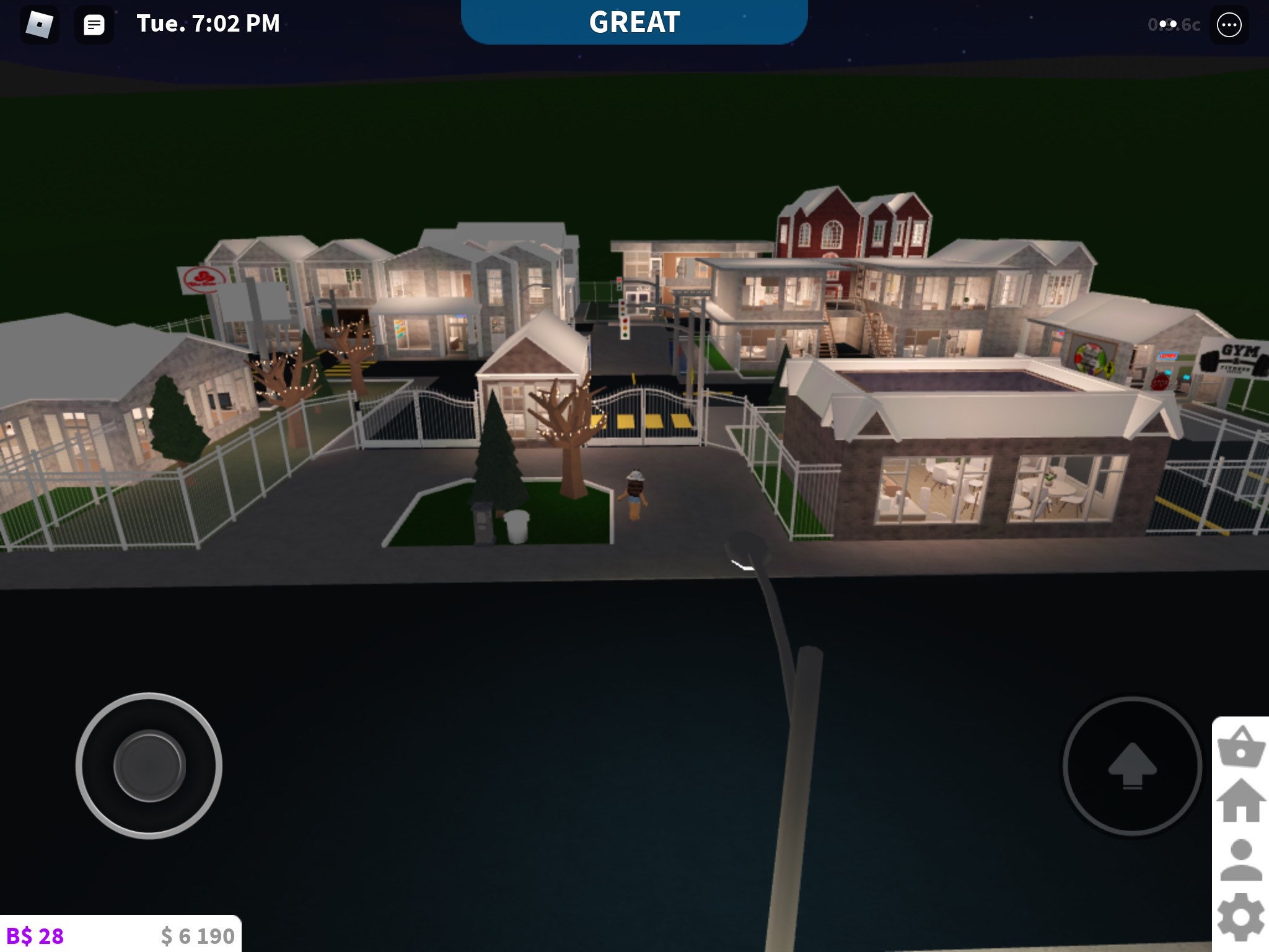 Bloxburg Town Build