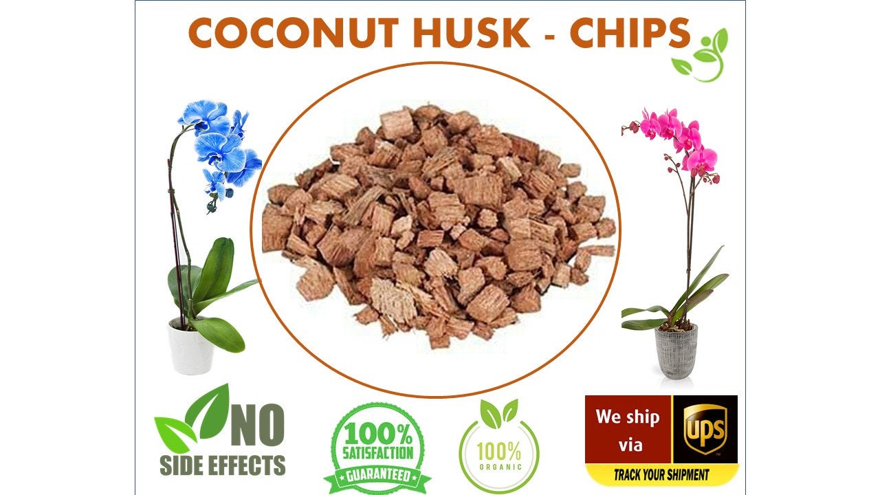 Organic Coconut Husk Chips Dried Coconut Husk Pieces Etsy UK
