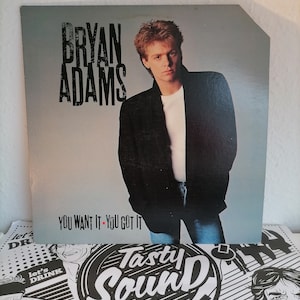 Bryan Adams – You Want It, You Got It Vintage Vinyl Record Album A&M Records 1981