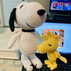 Snoopy and Woodstock (MESSAGE BEFORE ORDERING)