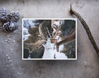 Red Velvet - Mongolia Series Fine Art Print