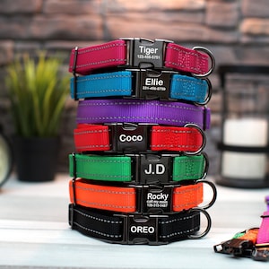 Dog Collar with Engraved Buckle, Reflective Dog Collar, Personalized Dog Collar, Custom Dog Collars with 7 Bright Colors