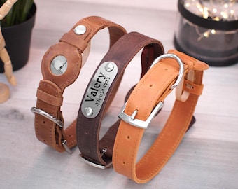 Personalized Leather Dog Collar with AirTag Holder & Engraved Nameplate