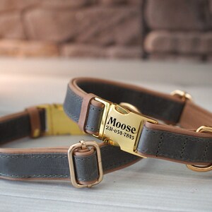 May include: A gray and brown leather dog collar with a gold buckle. The buckle has the name "Moose" and a phone number engraved on it.