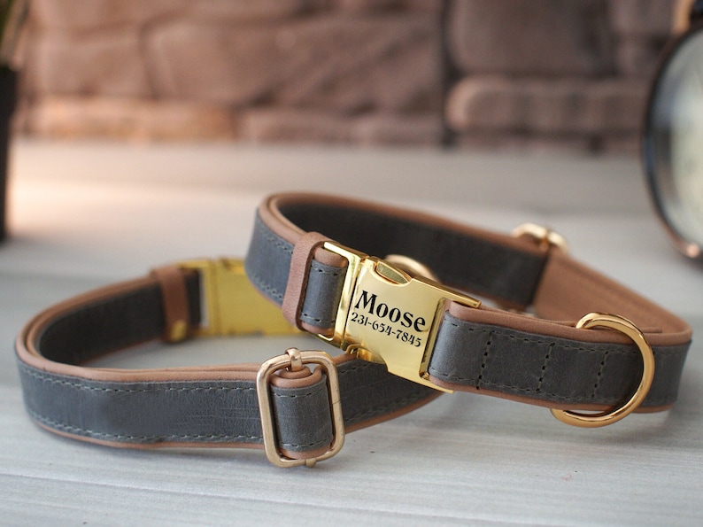May include: A gray and brown leather dog collar with a gold buckle. The buckle has the name "Moose" and a phone number engraved on it.