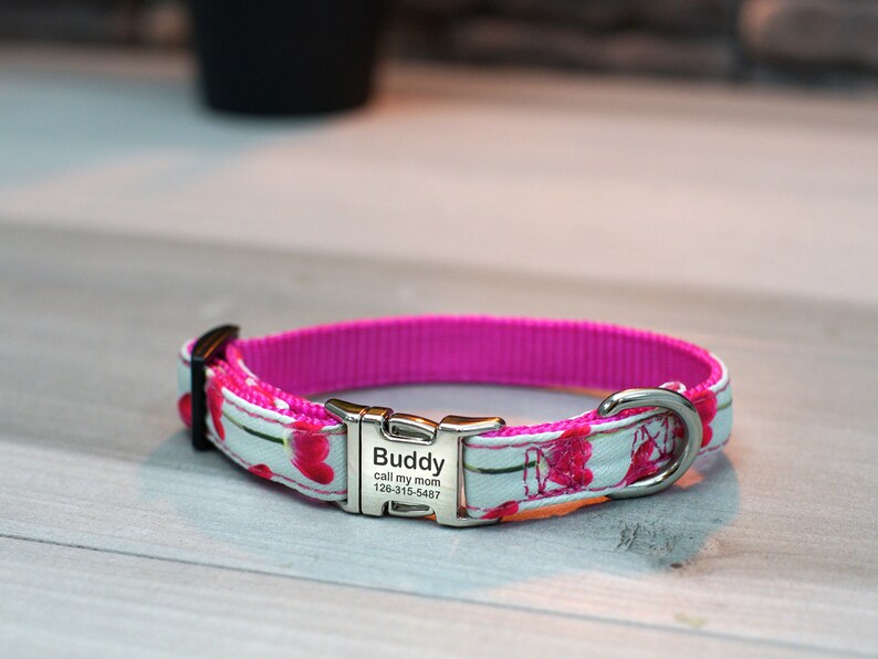 Floral Cat Collar With Engraved Buckle Customized Cat Collar Etsy