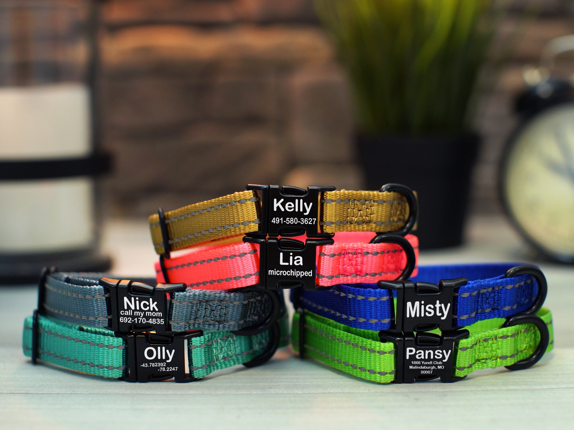 Personalized Cat Collar Engraved Buckle Cat Collars Custom Etsy UK